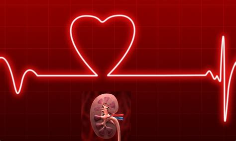 Abnormalities in heart structure and function may increase risk of ...
