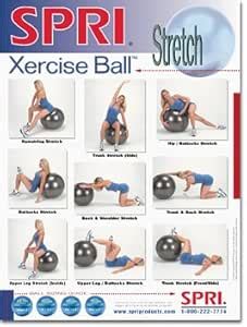 Buy SPRI Stretch Xercise Ball Wall Chart Online at Low Prices in India ...