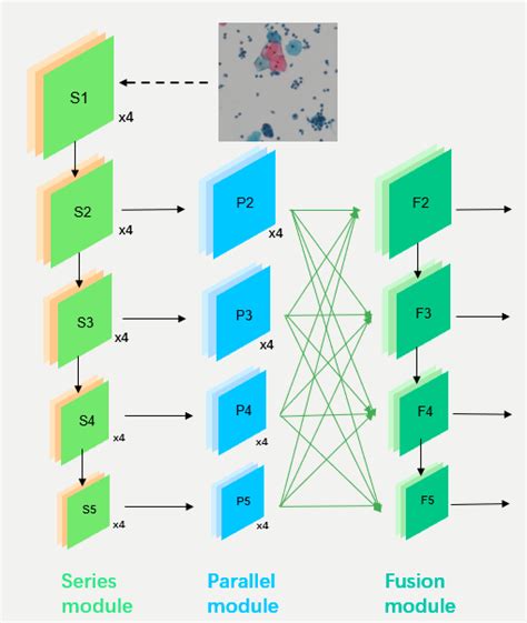 Backbone Network Machine Learning 的图像结果