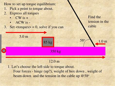 Image result for Torque Equilibrium Example