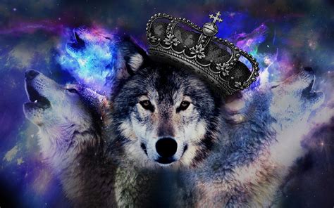 Cool Wolf Backgrounds (58+ images)