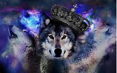 Cool Wolf Wallpapers by Cool Wolf Wallpaper 61 Images Cool Wolf Wallpapers