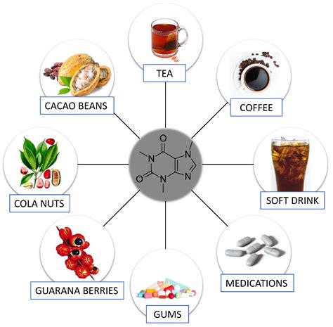Caffeine as a Factor Influencing the Functioning of the Human Body—Friend or Foe?