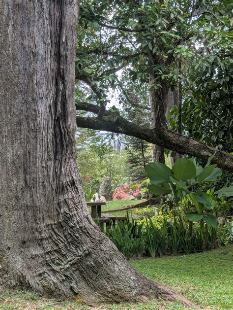 Those who have never tasted the grace of living silence sometimes ...