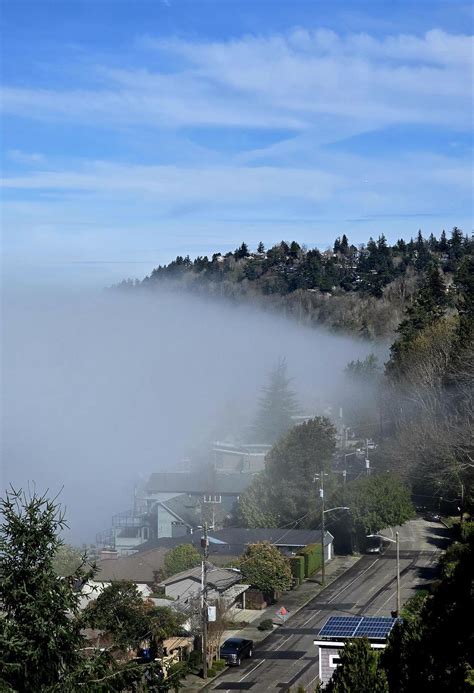 WEST SEATTLE WEATHER: This morning’s fog, from five angles – Bellevue ...
