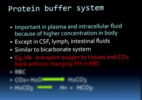 Image result for Protein Buffer System