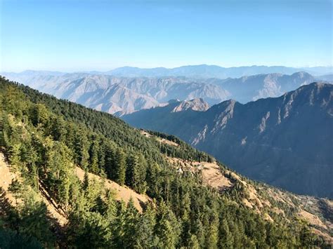 CLUB MAHINDRA PRISTINE PEAKS NALDEHRA (Naldhera) - Specialty Inn ...
