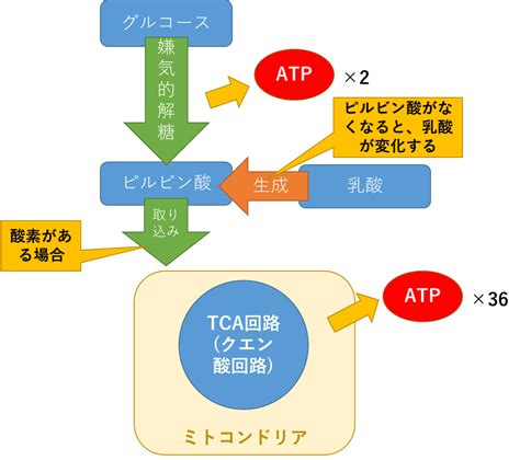 Image result for Multimolality Learning Alignment
