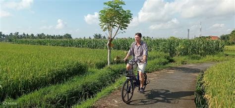 South Ubud Electric or Mountain Bike Tour in Bali - Klook India