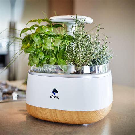 20 Indoor Herb Garden Kits Ideas Worth to Check | SharonSable