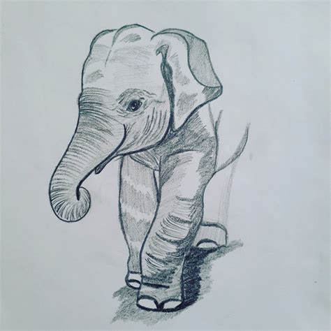 baby-elephant-drawing_1200x1200.jpg?v=1664403887