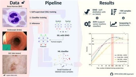 Self-Supervision for Medical Image Classification: State-of-the-Art ...