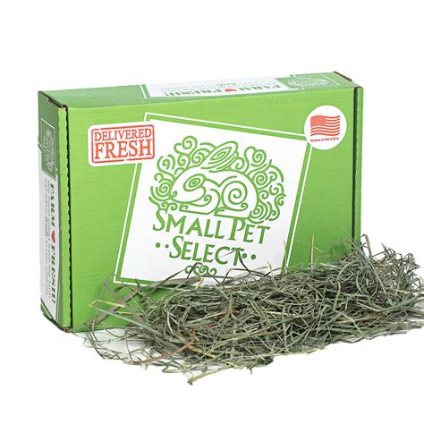 Rabbit Hay Basics. What You Need To Know. | Small Pet Select