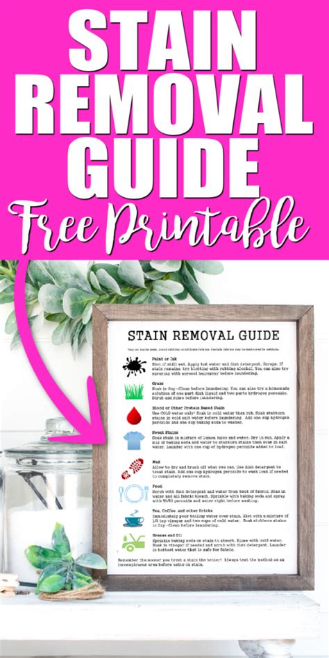 Image result for Stain Removal Reference Guide