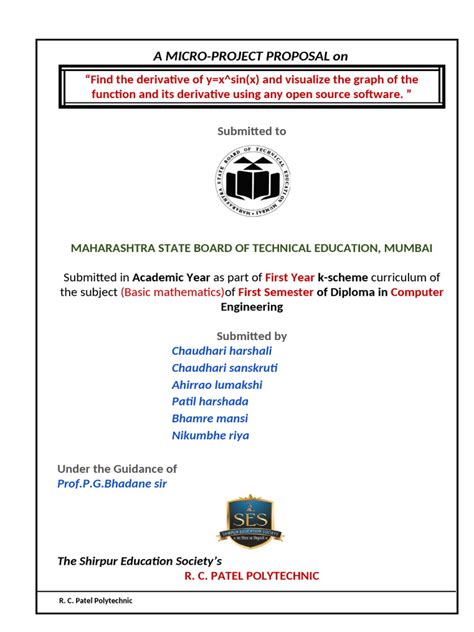 Micro-Projects 的图像结果
