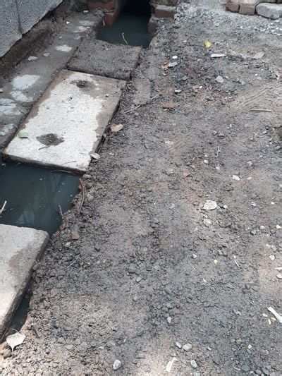 The dirty drain of JU block, Pitampura - Times of India