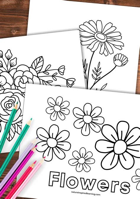 Coloring Pages Pretty Flowers