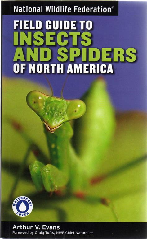 Image result for Insect Guide