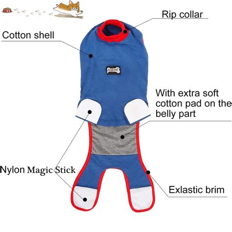 Buy QBLEEV Recovery Suit for Dogs After Surgery, Alternative E-Collars ...