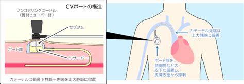 Image result for Calculate Variables Python