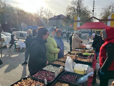 Продуктовую ярмарку в Новоульяновске посетили более 3 тысяч человек ...