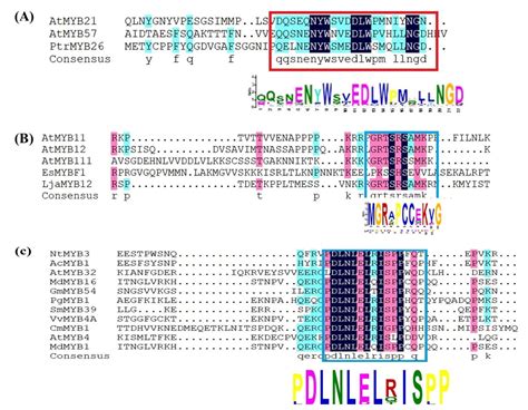 Recent Advanced Metabolic and Genetic Engineering of Phenylpropanoid ...