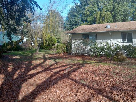 1 Bed 1 Bath - Apartment - Property Rentals - Eugene, Oregon | Facebook ...