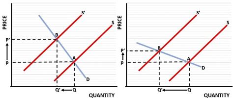 Infalition Graph Simple Example 的图像结果