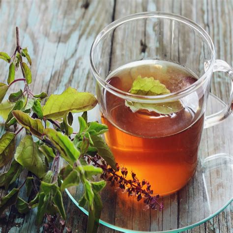 7 Amazing Health Benefits of Tulsi Tea (and its Side Effects) - Recipes.net