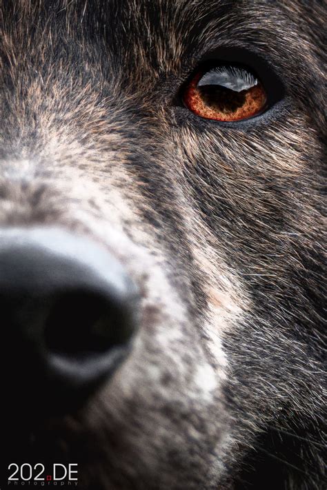 Erlebnis tiefe Verbundenheit mit Michael Stephan von MHS ...