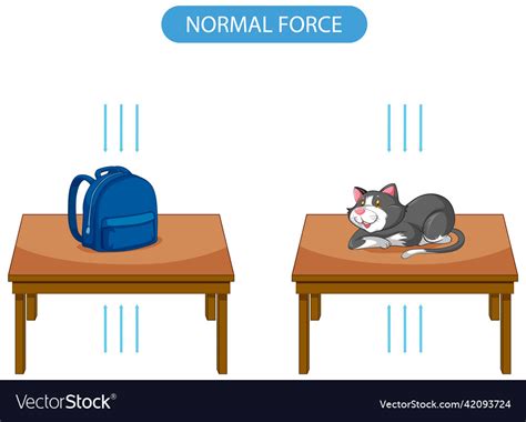Image result for Normal Force Examples