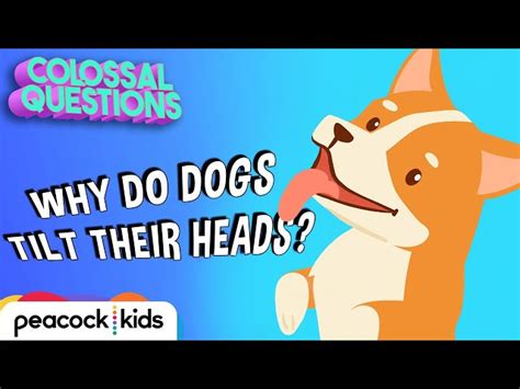 Colossal Questions Dogs 的图像结果