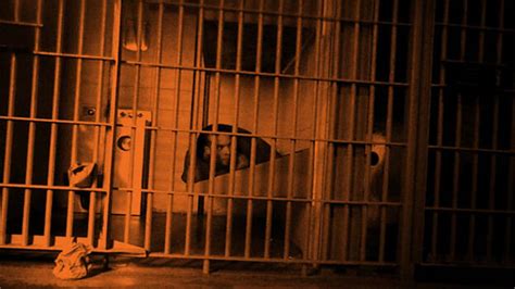 Youth under observation turns violent, smashes window panes, attacks ...