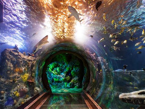 THE 30 BEST Places to Visit in Grapevine (2026)