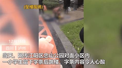 武汉校内被撞身亡小学生母亲在小区坠楼身亡 生前曾因装扮被网暴,社会,民生,好看视频