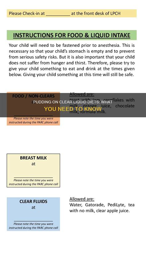 Pudding On Clear Liquid Diets: What You Need To Know | ShunKeto