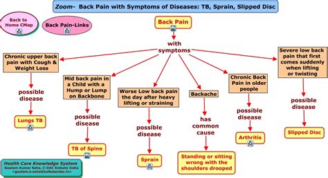 Zoom-Back Pain with Symptoms of Diseases-TB Sprain Slipped- Disc.html