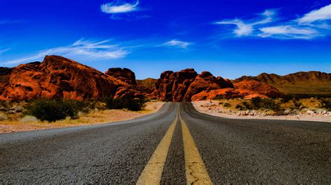 Valley of Fire State Park Road Wallpapers | HD Wallpapers | ID #25199 - wildlife in valley of fire state park
