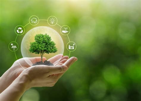 Institute for Desert Ecology and Environmental Research Foundation
