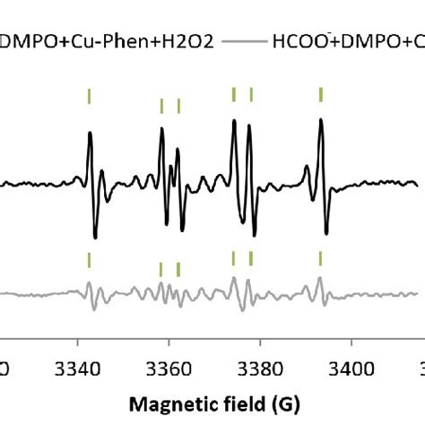 Dmpo H2O2 的图像结果