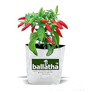 ballatha 550 GSM, High Density Polyethylene Grow Bags - 24x24x40 cm ...