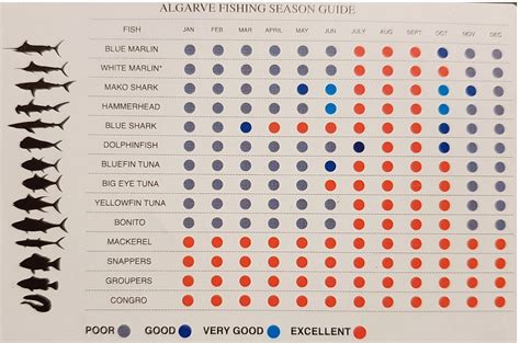 ALGARVE FISHING - KATJOA EXTREME FISHING (2026) All You Need to Know ...