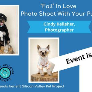 Fall In Love Photo Shoot With Your Pup, Pup Plaza, Campbell, 20 October ...