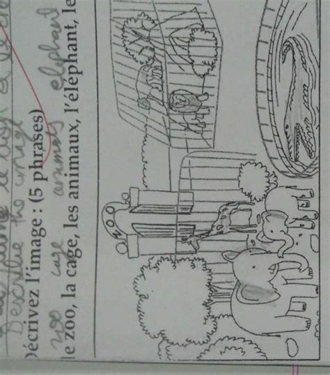 decrivez l'image le zoo - Brainly.in