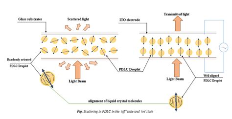 Prof. Aloka Sinha | Research