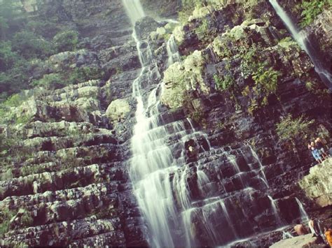 Camping Spots To Visit | Chennai | Whats Hot | WhatsHot Chennai