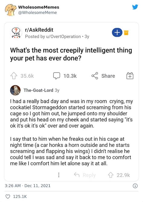 Intelligent Things Example 的图像结果