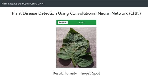 Image result for Algorithm Plant Disease Detection Using CNN