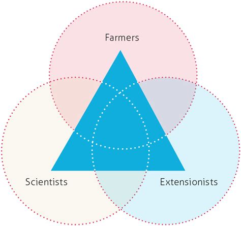 How to Use Triangulation Method 的图像结果