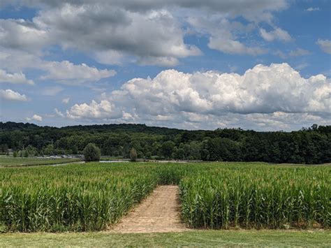Three-Acre Corn Maze is Open at Lake Metroparks Farmpark